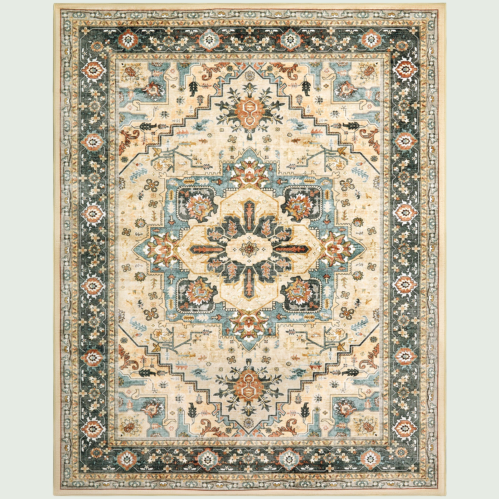 Traditional Living Room Area Rug