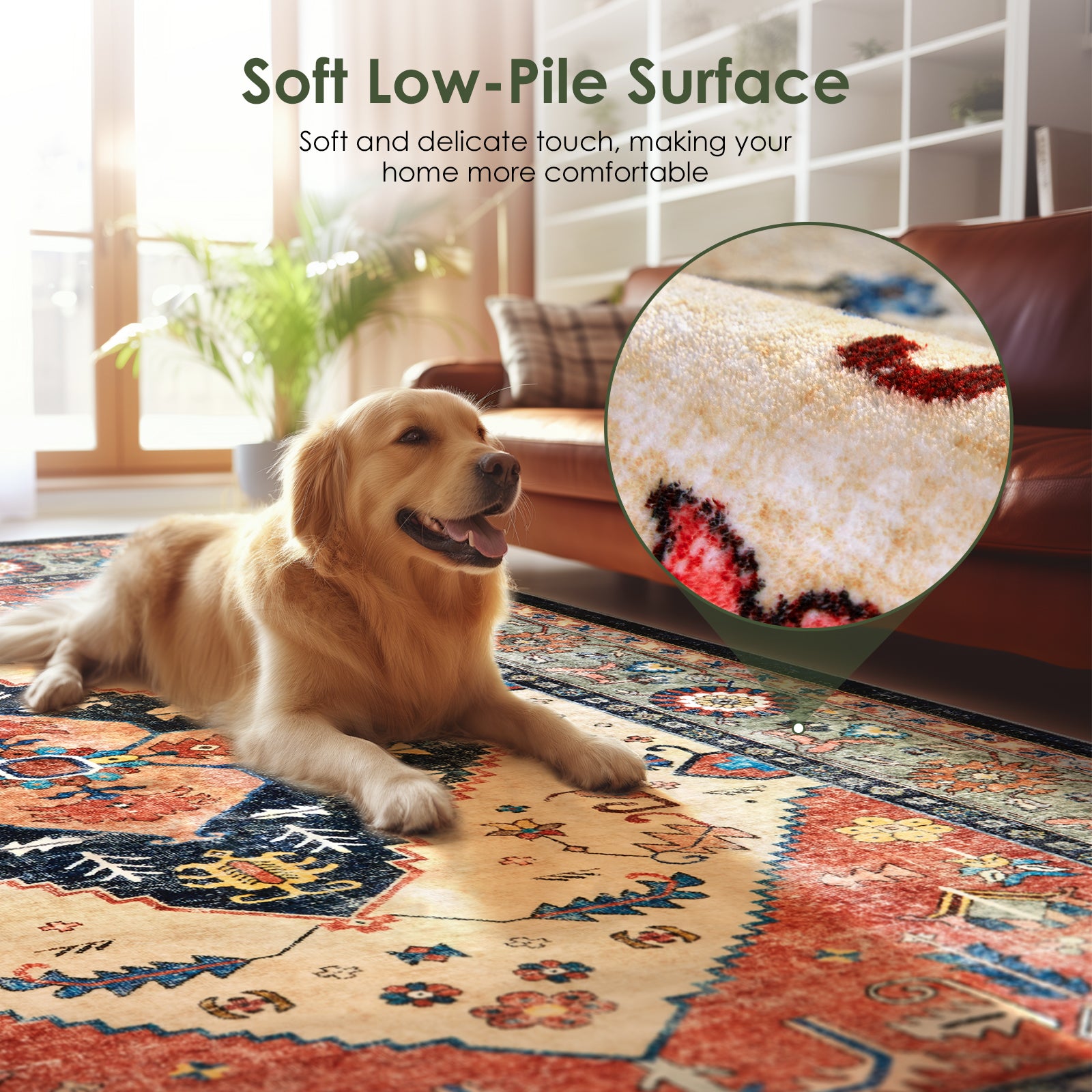 Boho Living Room Area Rug