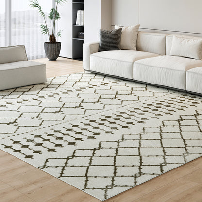 Moroccan Living Room Area Rug